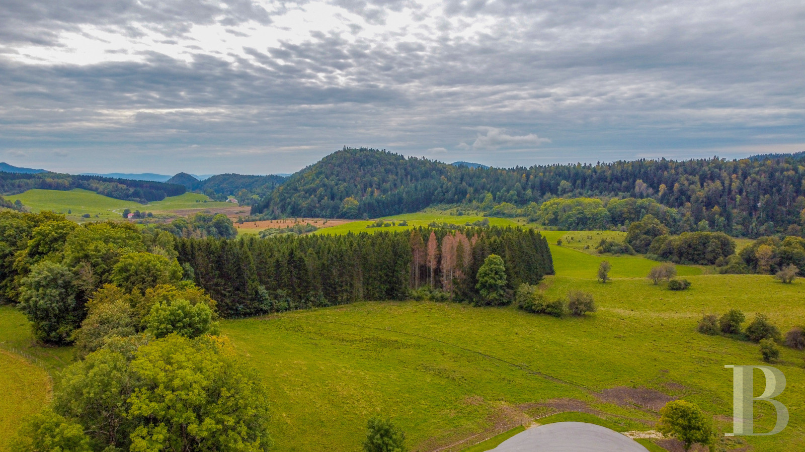 Dans le Haut-Bugey, à mi-chemin entre Lyon et Genève, une ferme abbatiale du 17e siècle transformée en une vaste et confortable demeure.  - photo  n°2